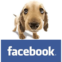 3. cani-facebook